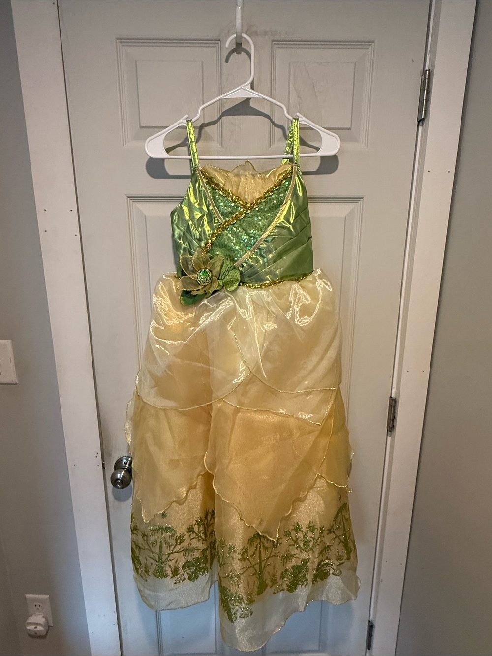 Princess Tiana Dress (size 11/12)